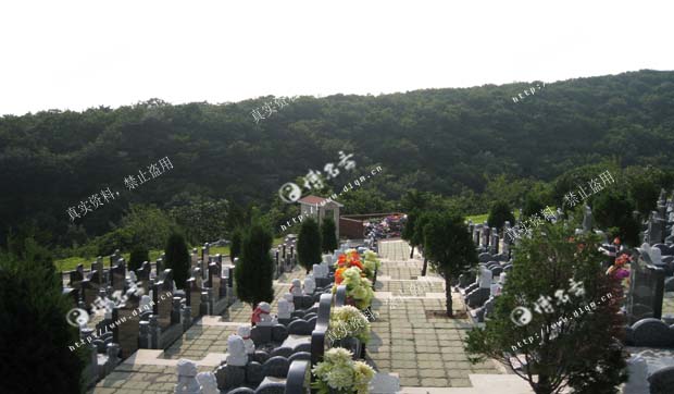 楼盘风水_博名斋风水案例_大连风水师