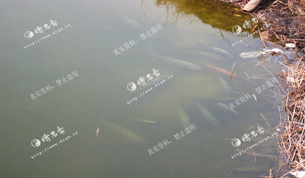 楼盘风水_博名斋风水案例_大连风水师