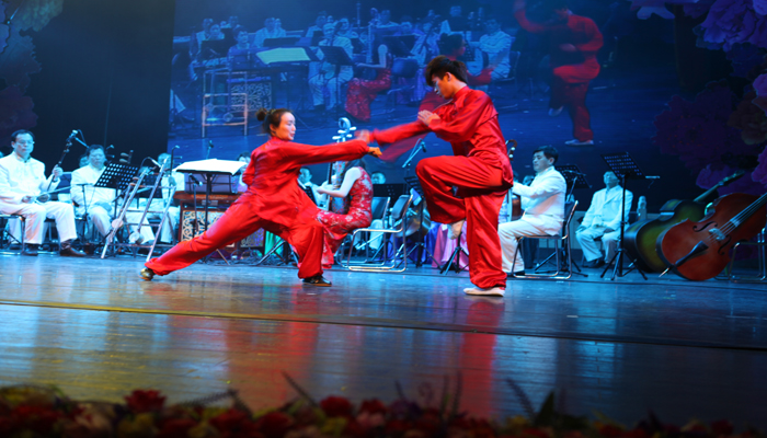 武术分会少年小将登台表演散打神功