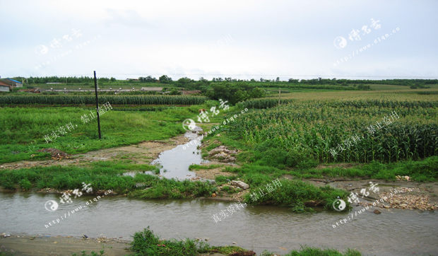 楼盘风水_博名斋风水案例_大连风水师